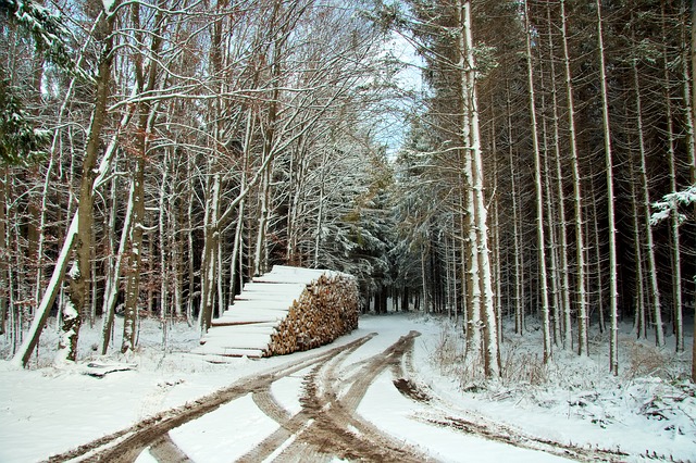 Wood