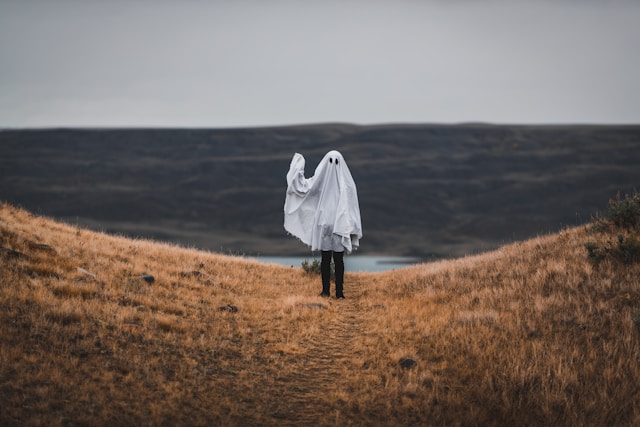 Tandem X Visuals / Unsplash.com